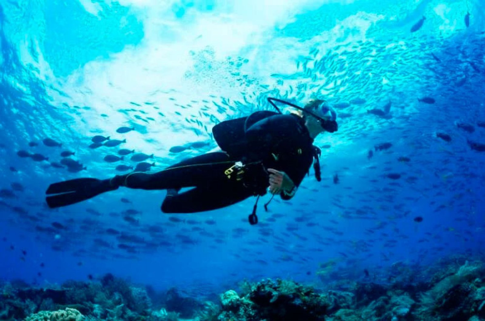 Buceo en Búzios