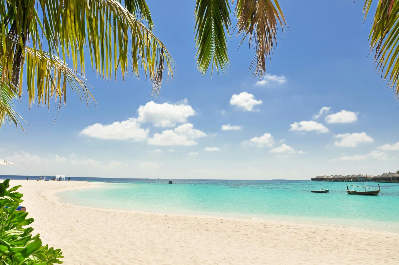 CANCÚN + PLAYA DEL CARMEN